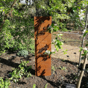 May Half term activities in London Chelsea Physic Garden