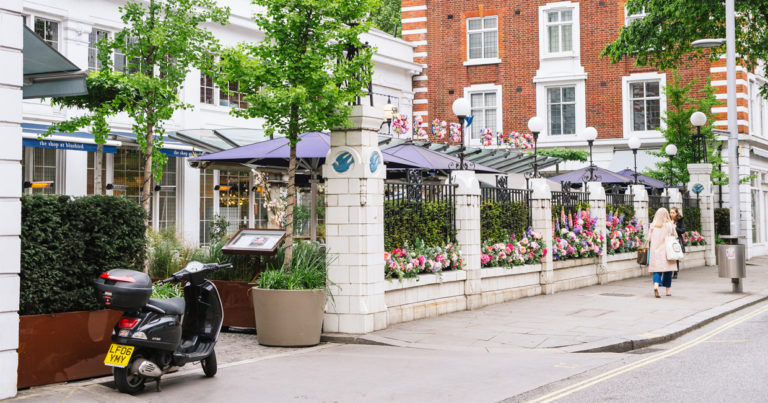 Bluebird Chelsea tiny tea | Review