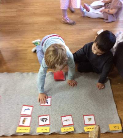 Montessori