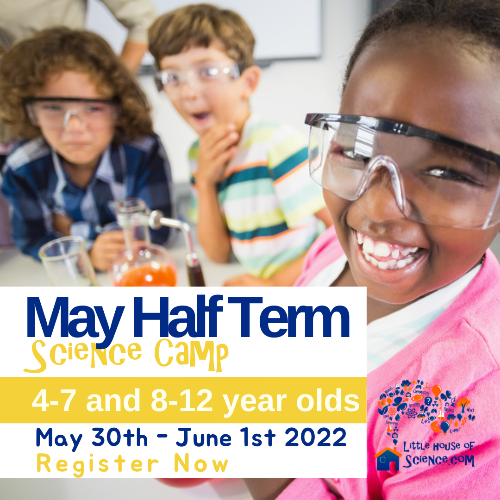 May Half Term Scoop 2022