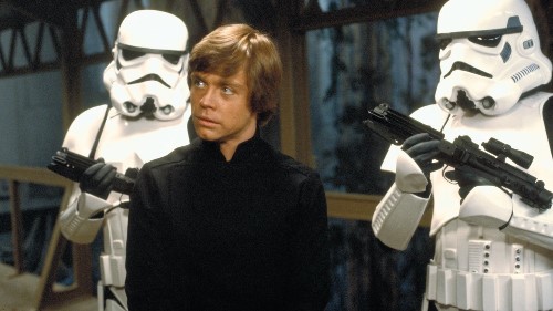 Back to School Scoop 2022