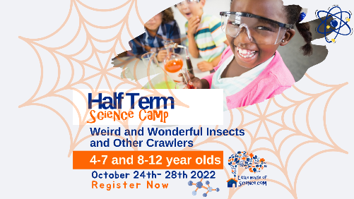 October Half-Term Scoop 2022