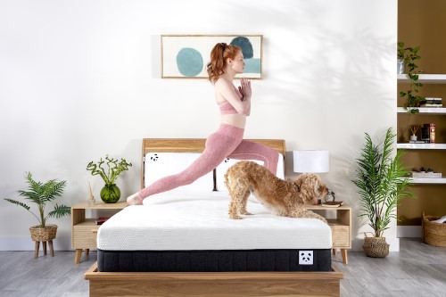 Christmas Guide 2022