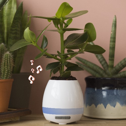 Christmas Guide 2022