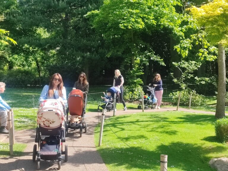 Walk and Talk in the Park