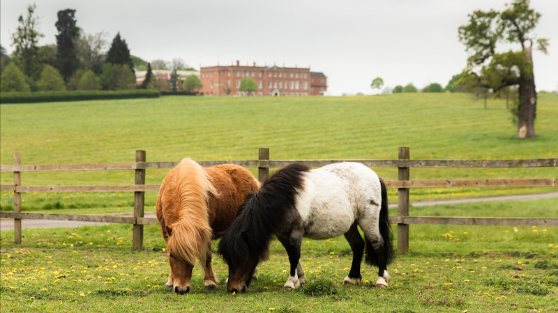 four seasons hampshire