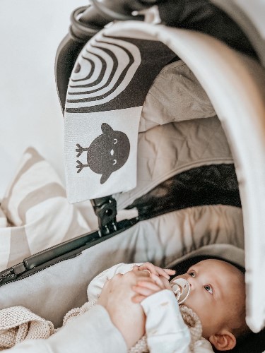 Pregnancy and Baby Guide 2023