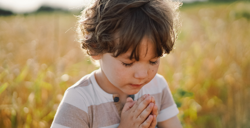 Back to School Scoop 2024