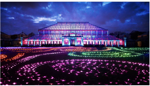 Christmas Scoop 2024