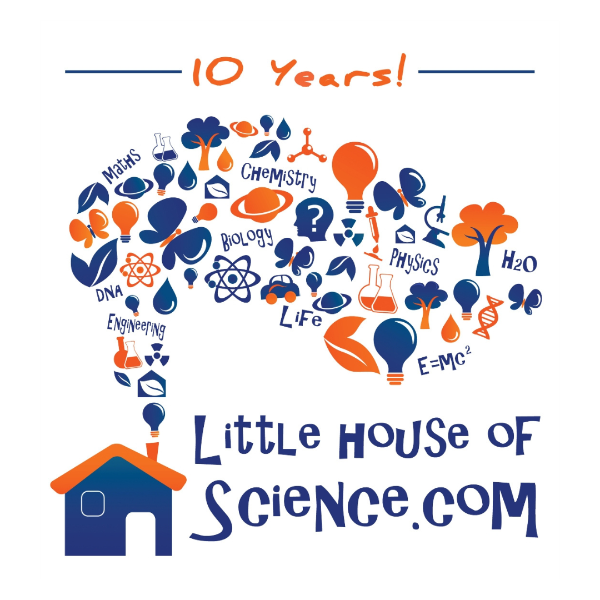 Christmas Scoop 2024