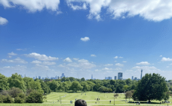 8 Tips to Help You Move Forward After an Autism Diagnosis autism awareness