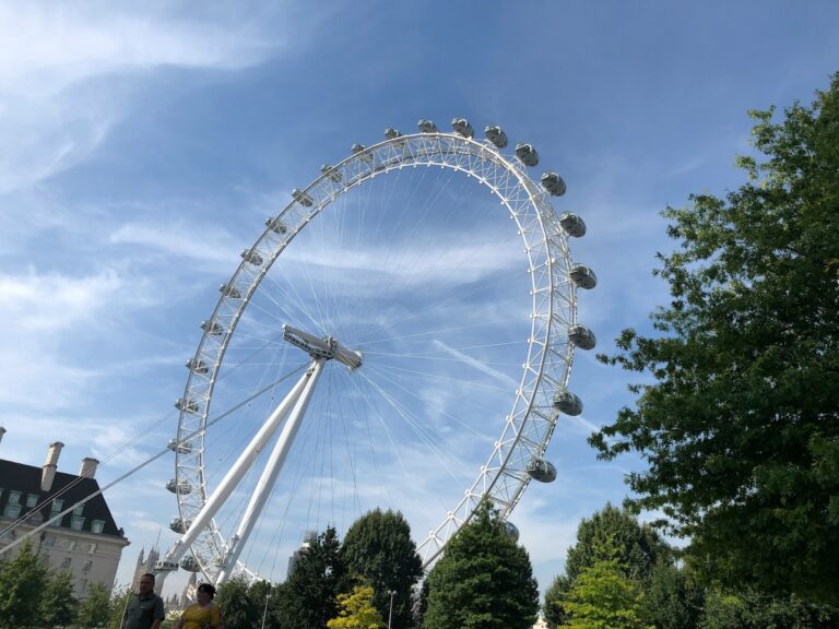 Half Term Scoop
