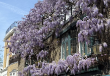 Top 10 things to do in London This May – Kensington Mums Guide Top 10 things to do in London This May