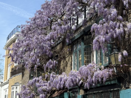 Top 10 things to do in London This May – Kensington Mums Guide Top 10 things to do in London This May