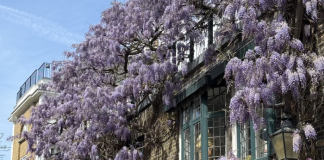 Top 10 things to do in London This May – Kensington Mums Guide Top 10 things to do in London This May