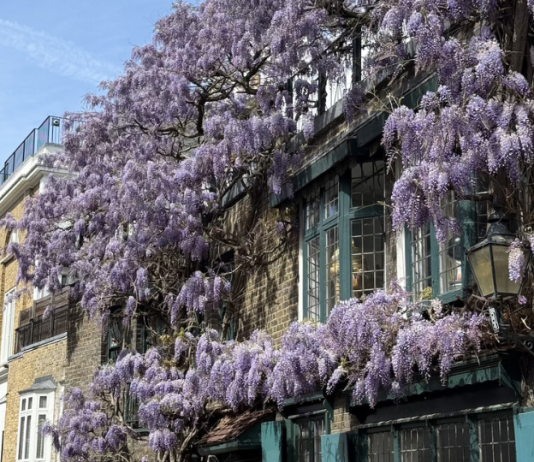 Top 10 things to do in London This May – Kensington Mums Guide Top 10 things to do in London This May
